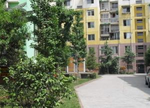 石油华宇苑3室1厅东东南