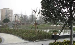 芳馨苑3室2厅东南