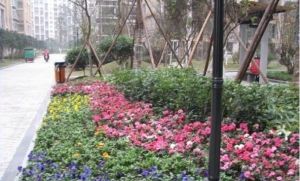 芳馨苑3室2厅东南