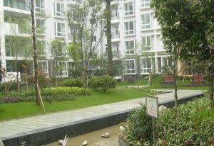 丽景欣城A区3室1厅东南南西北