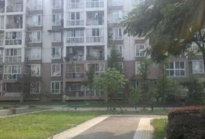 荆竹小区1号院 2室1厅 南