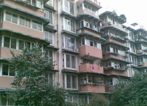 新华社区1室1厅东南