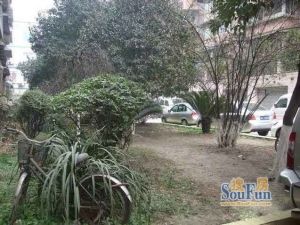 新华商住楼2室1厅东
