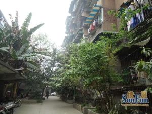 马鞍东路社区2室1厅北
