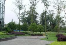 今日田园 5室2厅 东南