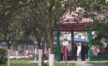 杨柳西区2室2厅西南