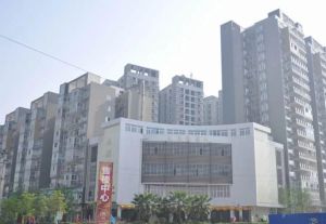 美宸东方2室2厅东南