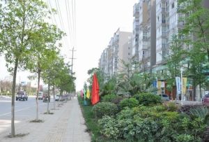 美宸东方3室2厅西南