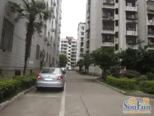 电梯房,东湖海鲜市场旁竹苑精装修房