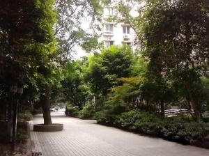 小通巷8号3室2厅南北