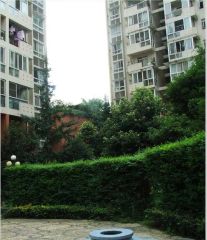 超洋花园2室1厅东