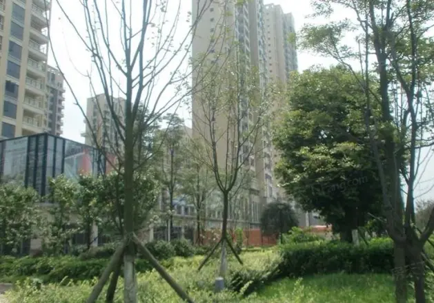 中森光华一号