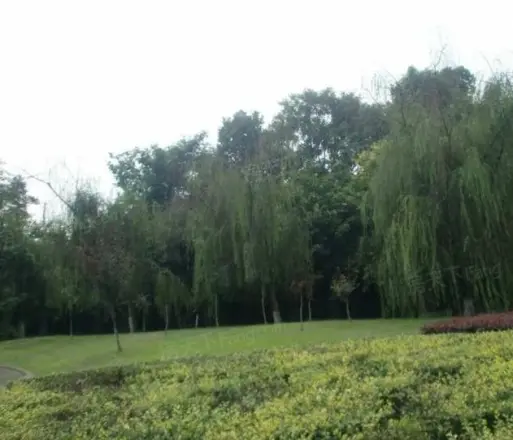 中森光华一号