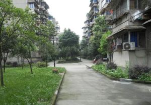 川大新北村 3室1厅 南