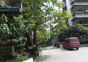 红牌楼北街23号院2室1厅东南西南