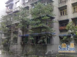 东大街402号附2号3室2厅南