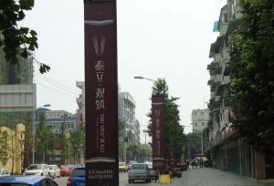 泰立观筑2室1厅西南
