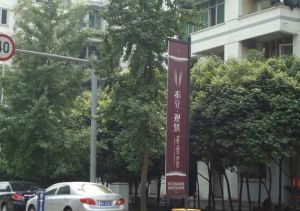 泰立观筑2室1厅西南