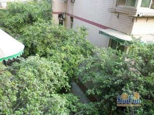 公交苑3室2厅东南