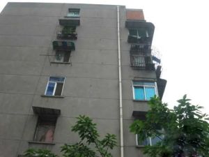 新风路46号3室2厅东