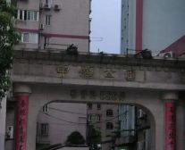 闸北公园+地铁+大宁国际+电梯房