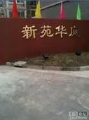 新苑华庭,上下两层楼中楼,精装修,拎包入住,诚心出
