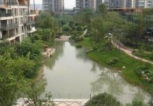 华侨城纯水岸二期 4室2厅 南