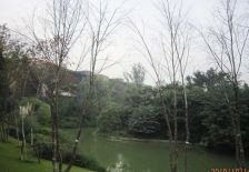 华侨城纯水岸二期 3室1厅 南