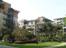 华侨城纯水岸二期 4室2厅 南