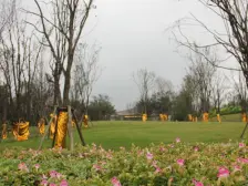 联排别墅花园300平 看缙云山 视野好