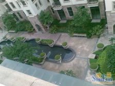 浦上大道上,金山公园旁,品质社区,叠下别墅精装修