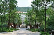 临深环湖别墅 身份的象征 金地湖山大境双拼别墅大花园