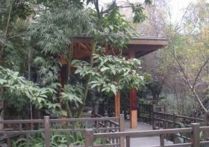 西区花园水云涧3室1厅西北