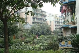 幸福丽景 1室1厅 北