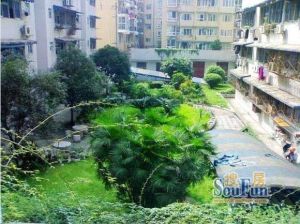 交警宿舍3室1厅东南