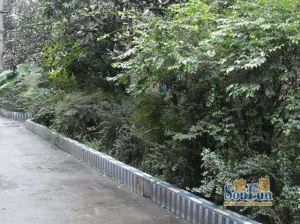 交警宿舍2室1厅东南