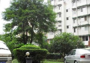 锦西雅苑 3室2厅 东南