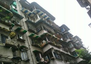 平福路124号2室1厅东南
