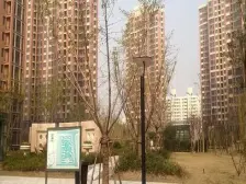 精装修大三房,装修成本40万,视野哇噻