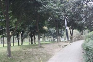 龙湖翠微清波A区2室2厅南