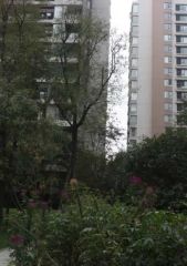 龙湖翠微清波A区3室1厅南