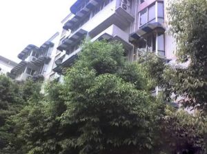 银沙路40号院3室2厅东南