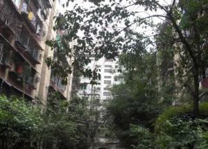 二环路西三段93号1室1厅东南