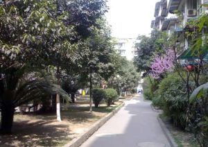 馨宁居一期4室2厅南