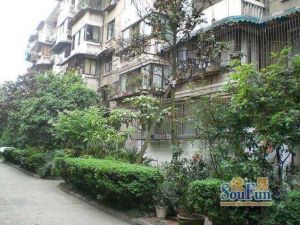 文家东巷18号?2室1厅东南