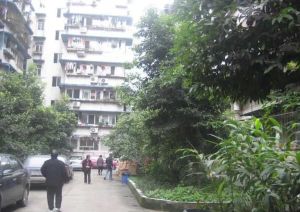 龙舟苑 2室2厅 南