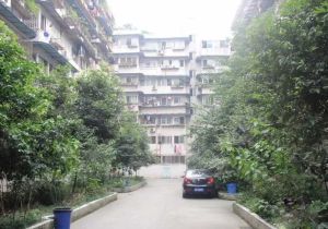 龙舟苑 2室1厅 东南