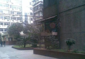 天涯石南街17号 3室1厅 南