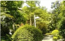 金林半岛 5室2厅 南