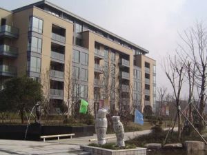 金湖湾2室1厅南